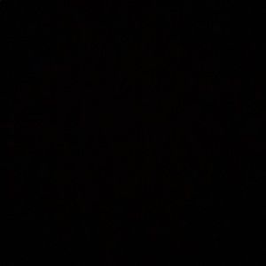 Meet your Posher, Teryn